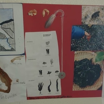 121066714_285633385737524_4471394508269534646_n