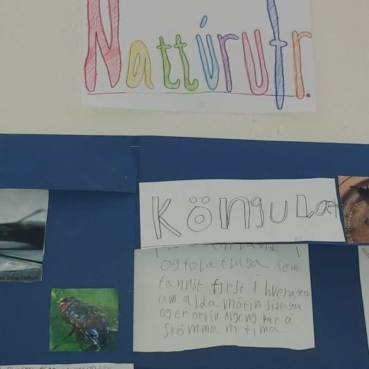 121139279_336079591056213_725813193544538484_n