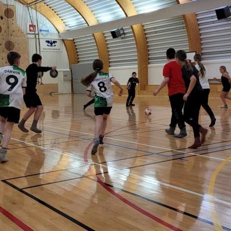 93e834a6-1c31-433e-ac89-fc4d040398af