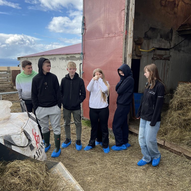 08816c6b-717d-4976-9166-1cf54c64d0e9