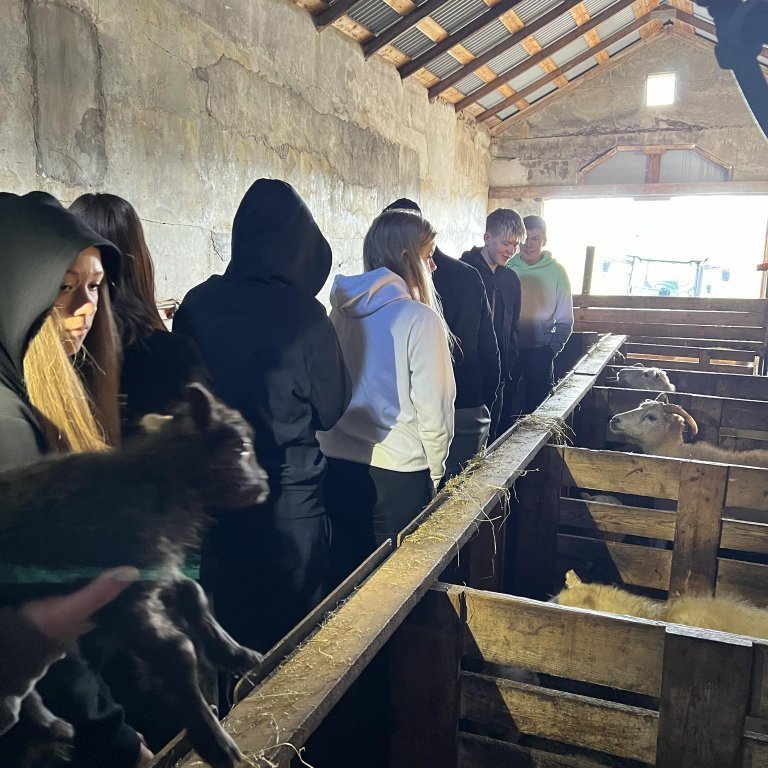 31785937-769a-4212-90b6-48d01955905c