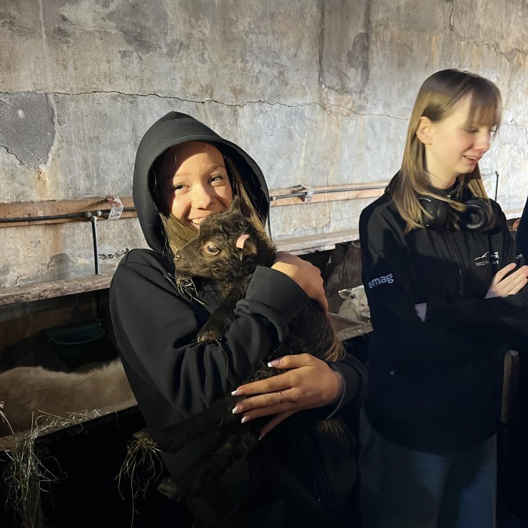 34b49a20-f75f-4a7c-88c2-4b7c43828e78