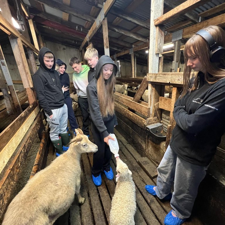 771c663b-9d08-4c04-8df6-ad2a3d07a617