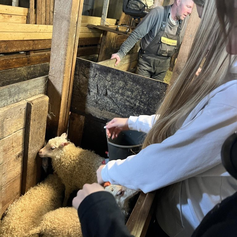 a4177bbf-4e10-46f9-84a7-4cd494bb65ab