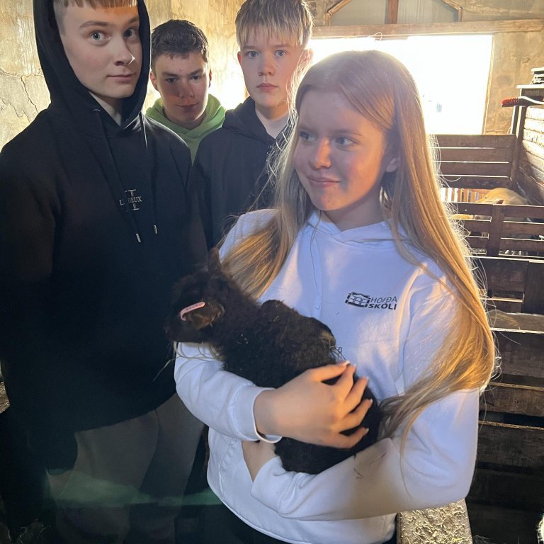 bbeec391-75ae-4754-8b0c-42817dfe2d32