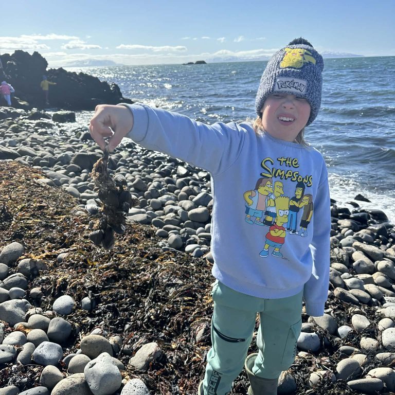 51a81016-fe31-4f51-aca4-3426b50cd9e9