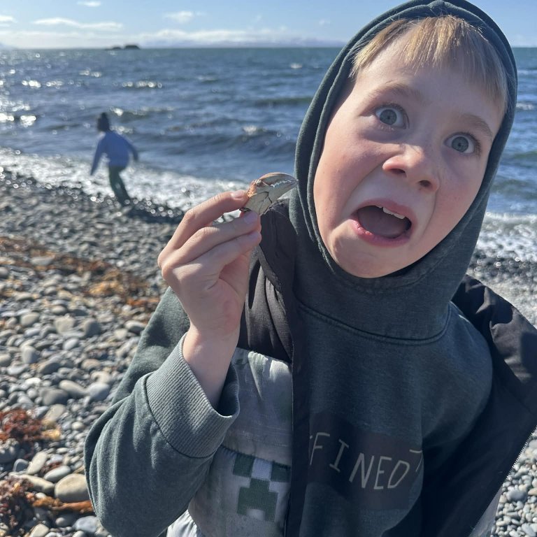 aeba4546-6943-4d04-8c05-6cc19f2e7228