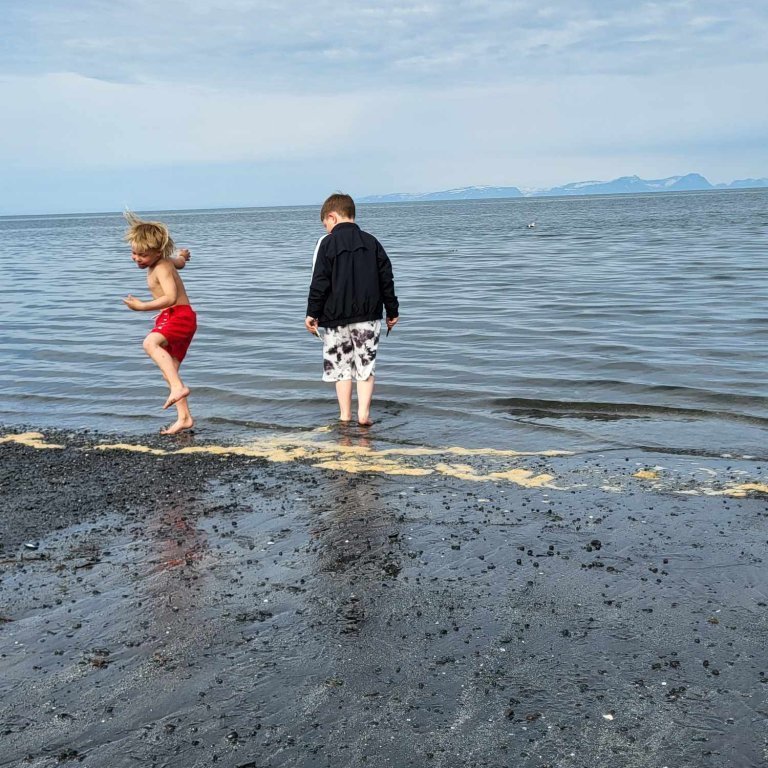 0303a7f4-6f40-49e9-b81b-f4b9690ce64d