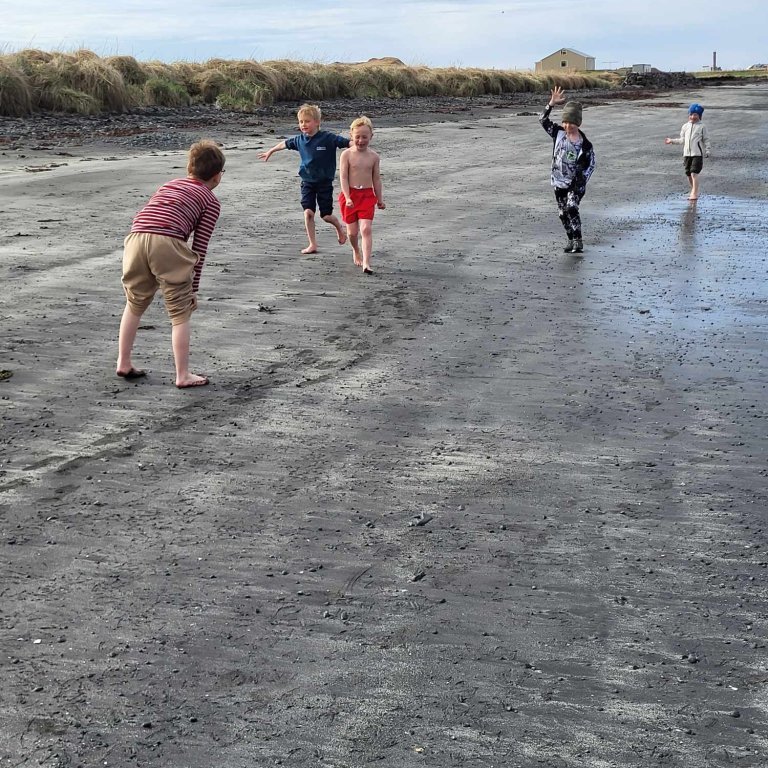 0f62deb1-34d5-4ce8-bc68-f3389442e069