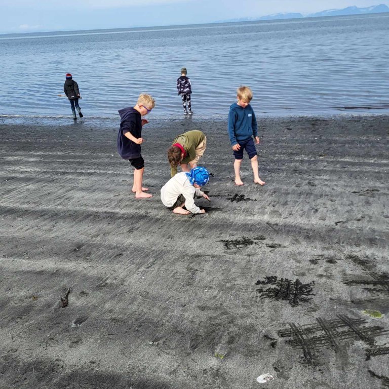 5e058659-5033-4cd5-9ab8-9d1d71112d43