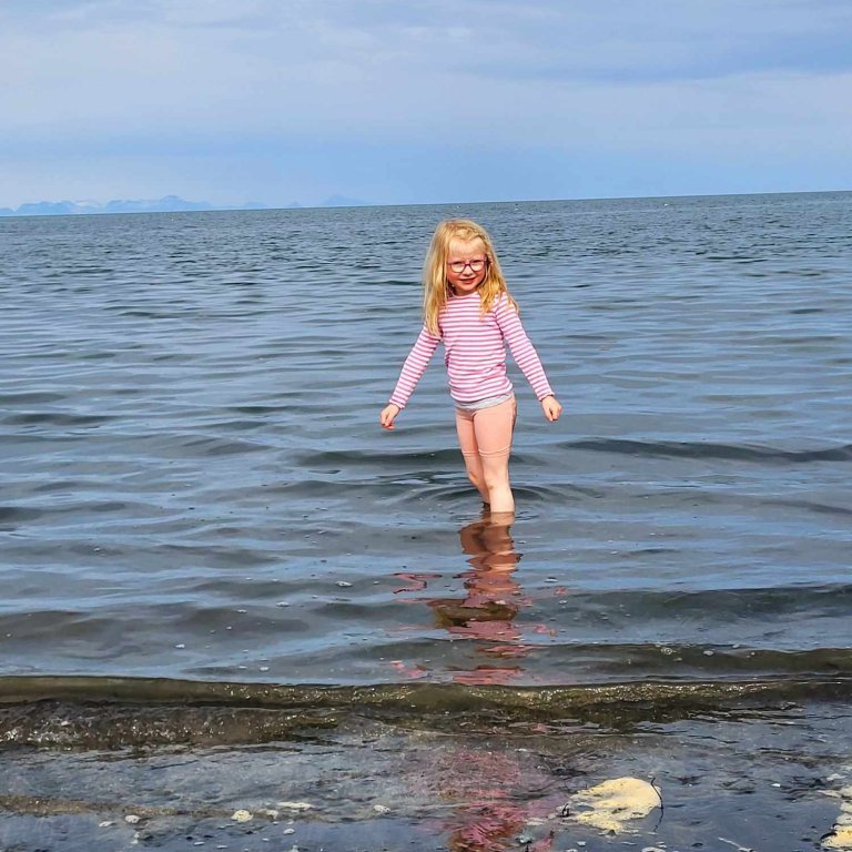 88d3f71d-2bd9-43cc-a1a3-8c9a0b0d61cb