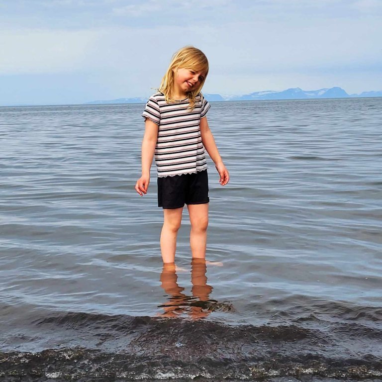 95a4537a-4dfb-47b4-97e9-c8e0a198d384