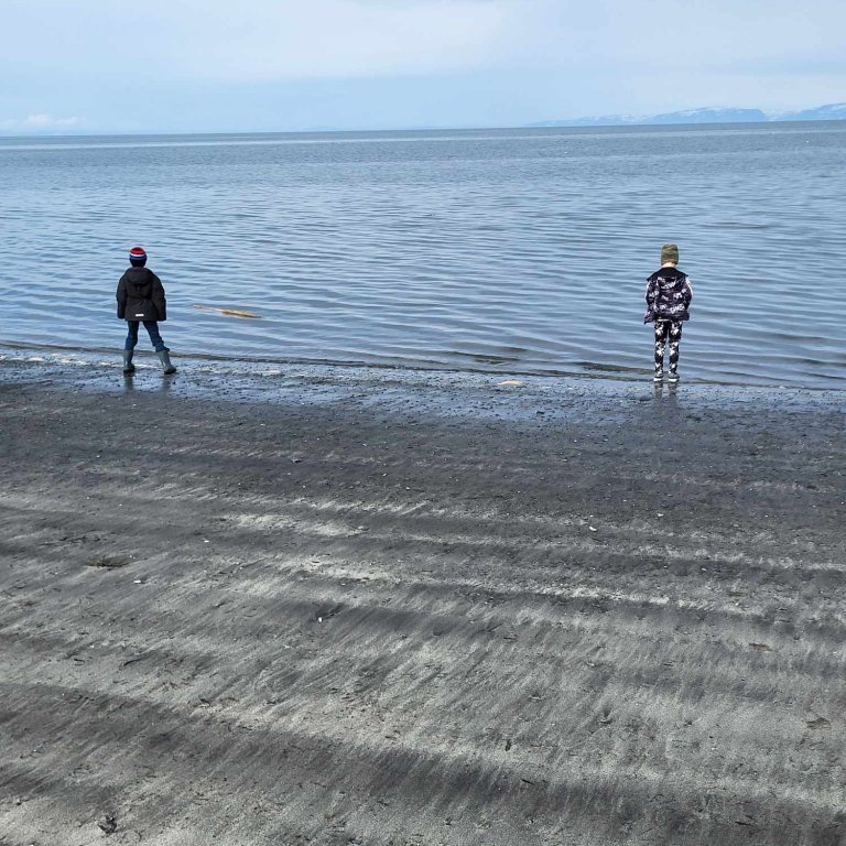 96f85029-26cb-474d-86f9-457e0c0f4eb7