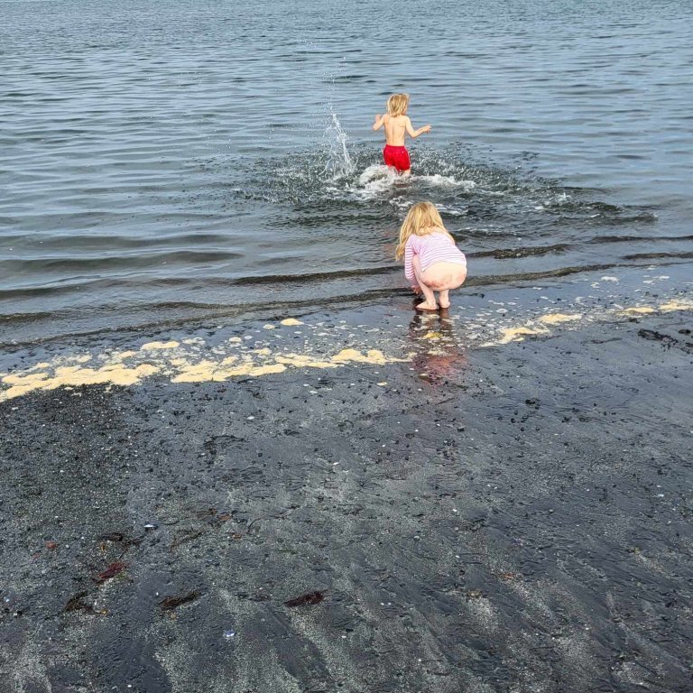 9982b18b-2bd0-4295-abaa-4c3628d93564