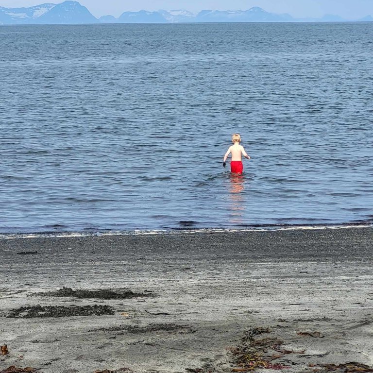 c561878f-b504-4f56-a811-a55ee98c1c71