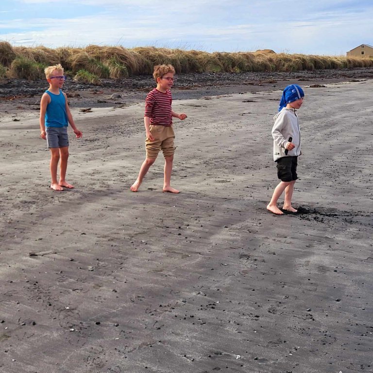 c585f8d6-2748-4017-af87-12ae19769ca0