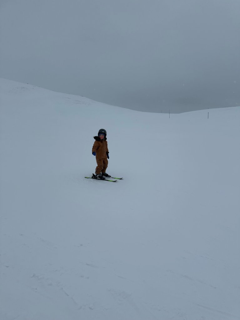 image13.jpeg