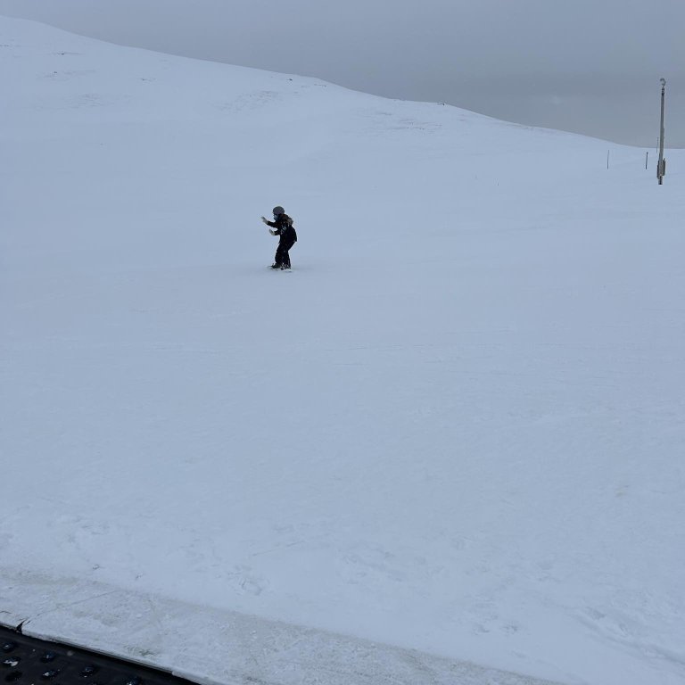 428e1149-7ad8-47ca-8144-0a5b046978cf