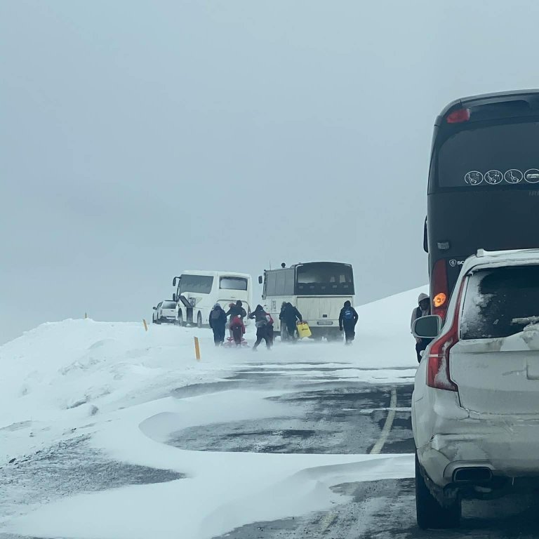 d8fc8985-a3bb-402e-802c-8cff8f8780ee