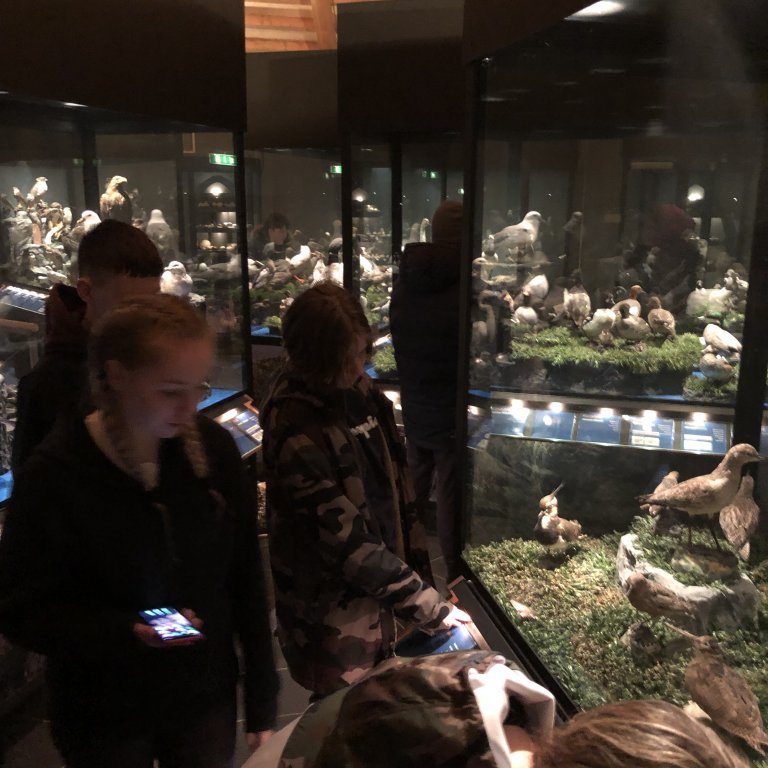 0908ee4f-c4a8-4efe-8080-0a28a272ba58