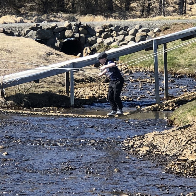 192f2116-c6a1-46f8-821a-83a39a2c3de5