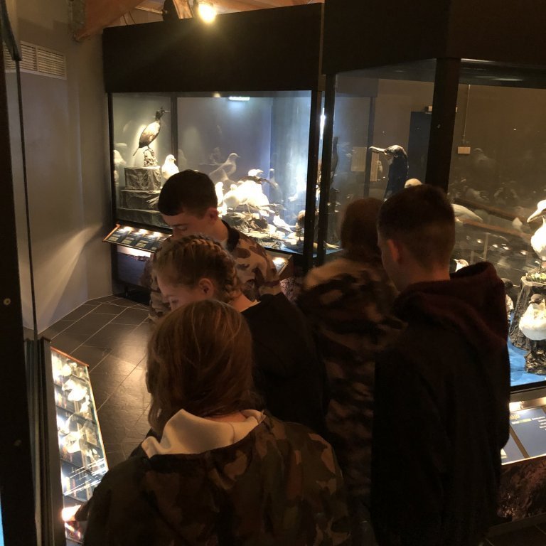 8cecaea3-5616-40a1-b6a8-0fe693b50cb6