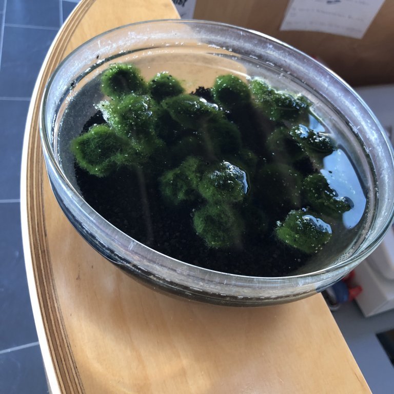 baaef3ed-96d3-472b-93ec-c88be7a0a3d9