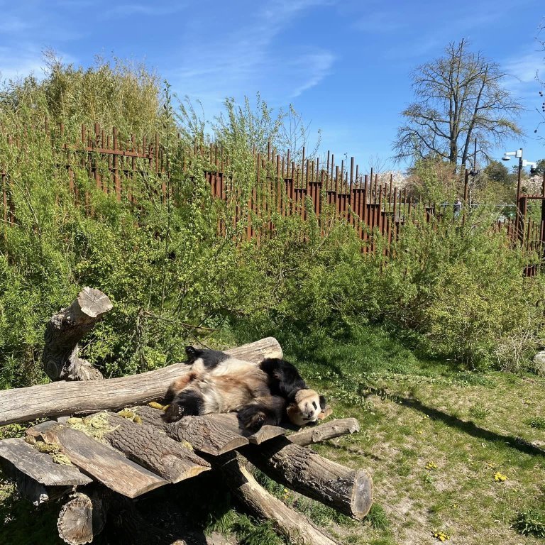 345576276_1191362251574141_1362425019177408542_n