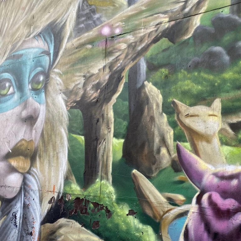 346624163_585699410295031_2600064482077218995_n