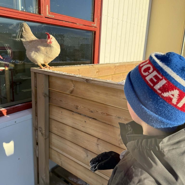 3f0c68eb-d5b6-467d-9493-f0d3e2fa93b6