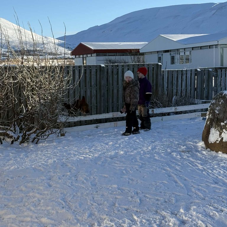 6b3adff8-8ba3-4a63-a301-908afb8fc951