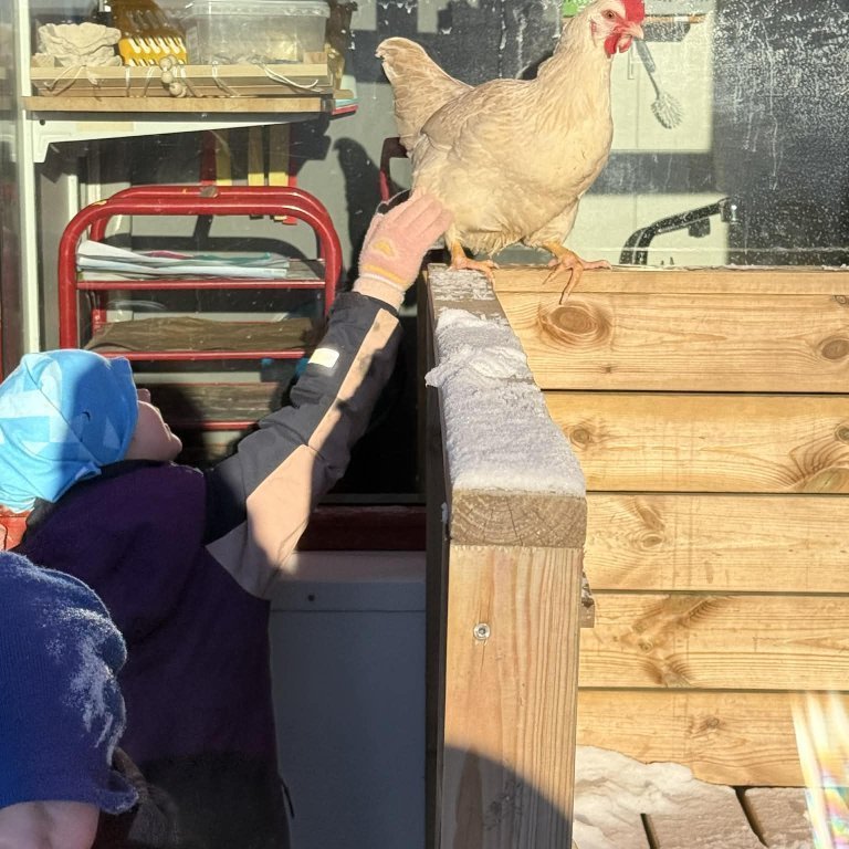 b80d3a58-43a1-4d52-918c-067207c128a3