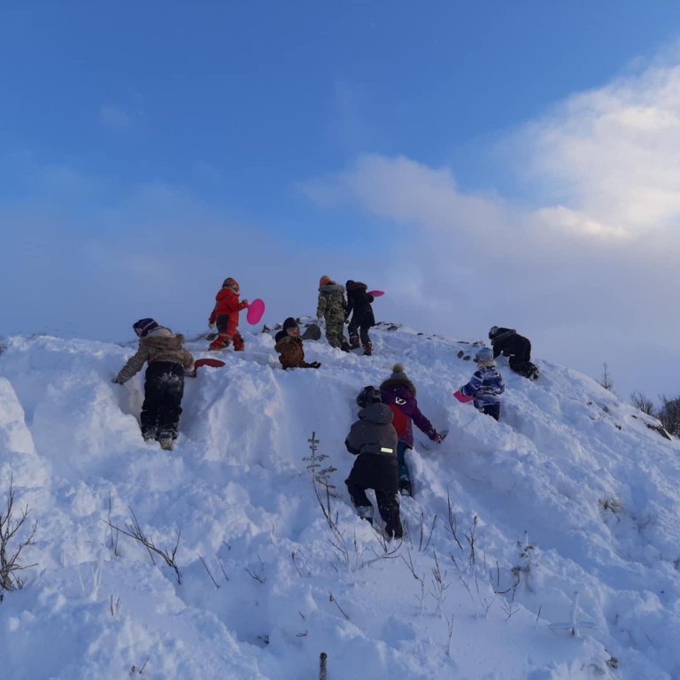 2bb7d44b-2359-4774-ae75-f092f3682214