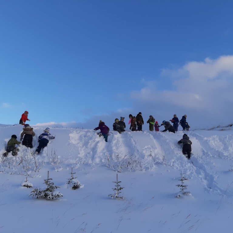 8f1d265b-ce37-454f-93aa-86535c2eefe6