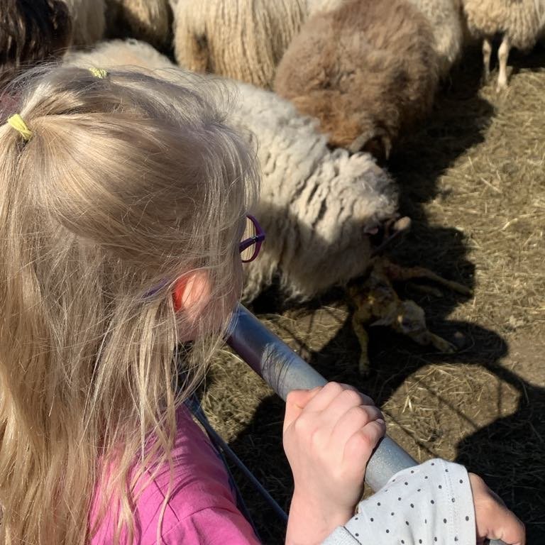 05add965-43fc-4fcd-af80-56a290eab033