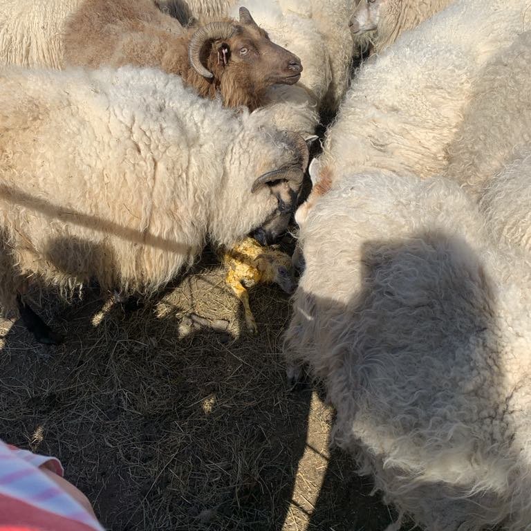 2a823f39-8edc-4788-a844-fe9c0e1050ac