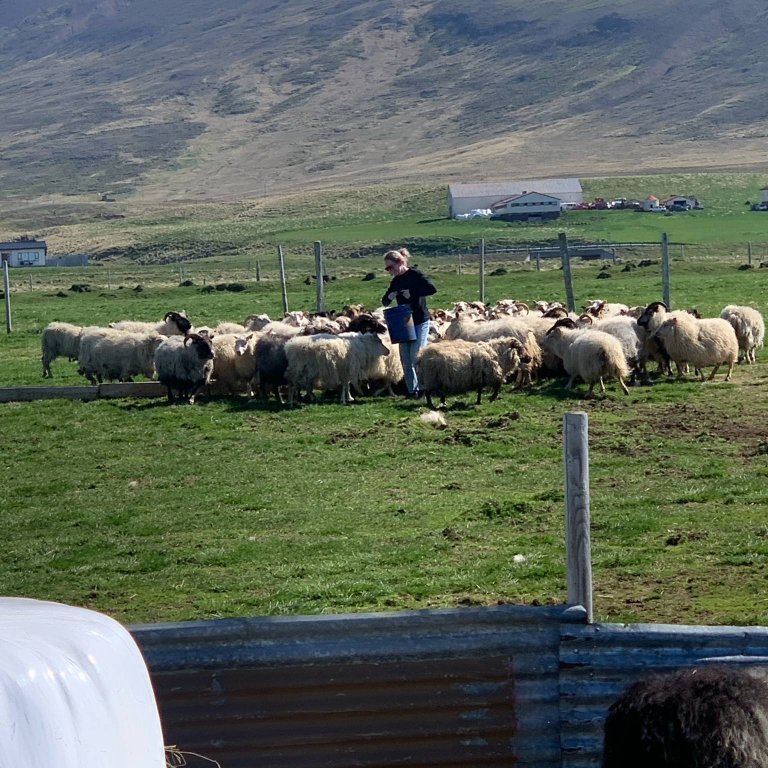 2c59e8db-37ab-4221-b7f2-8f82b85dcafb-1