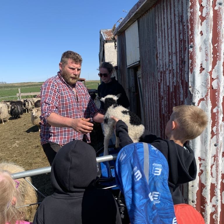 475bfa04-d776-4406-9cef-9aa4381e11d3