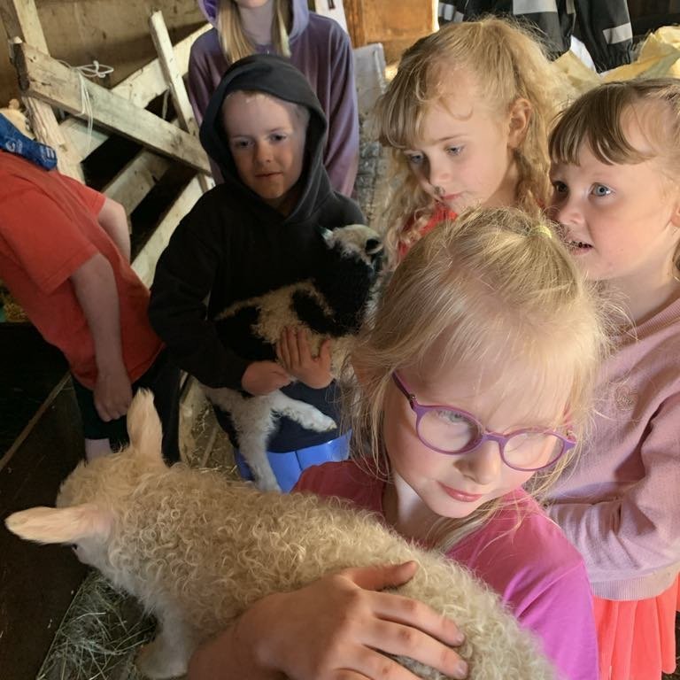 72c02d5b-64f2-4ee8-bc7f-9ce0d33958c1