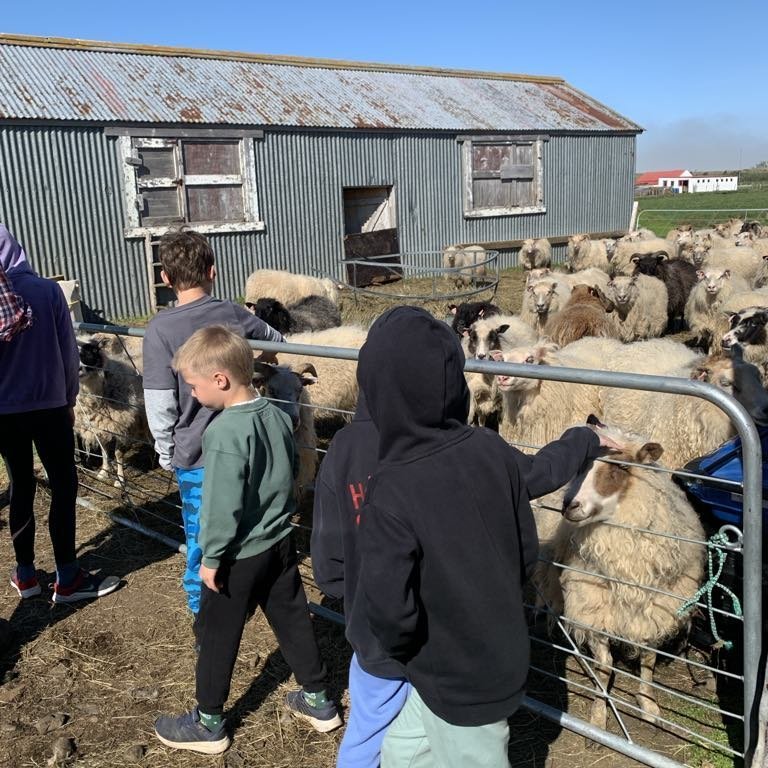 8bc51b89-f8fb-4298-860c-7ce3b46eb375