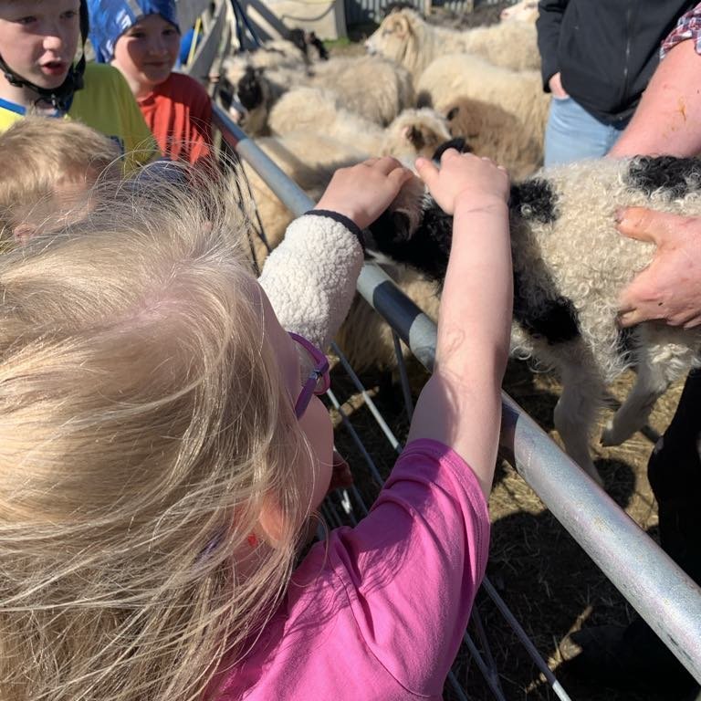 a42e7062-bfe9-4feb-a8f2-646fea57399b