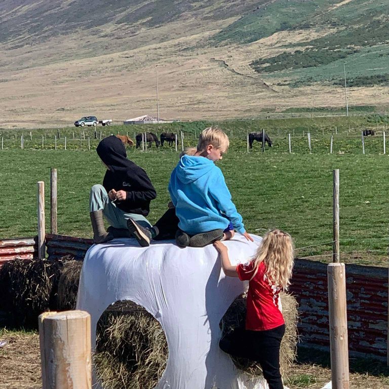 a667ea09-2fb1-44bb-9326-28bd5e570fda