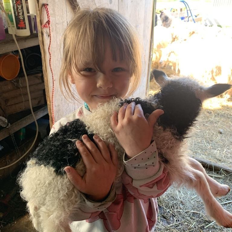 acd856f8-44ba-4e8d-9c18-ddccc2c2ba05