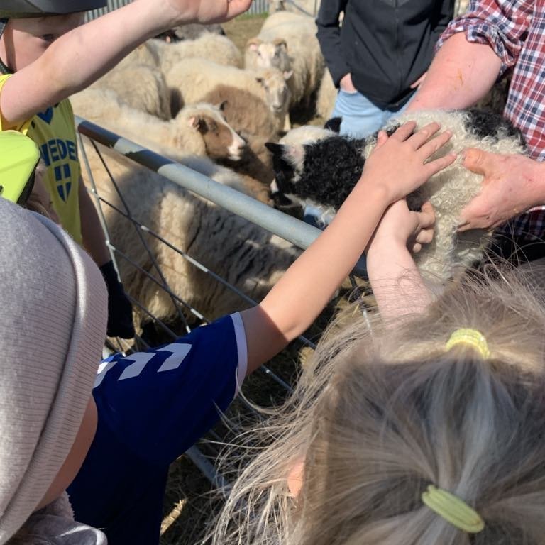 b7ff44ca-e211-4b9e-9657-2d5cc08484c9