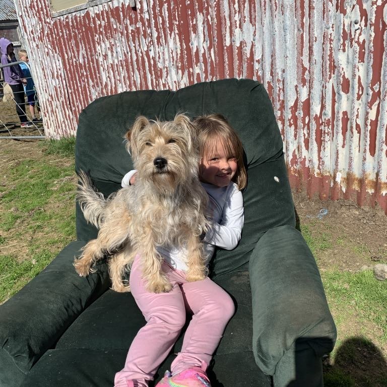 b8ba4f70-d01d-4a27-ab93-3b23856c13ae