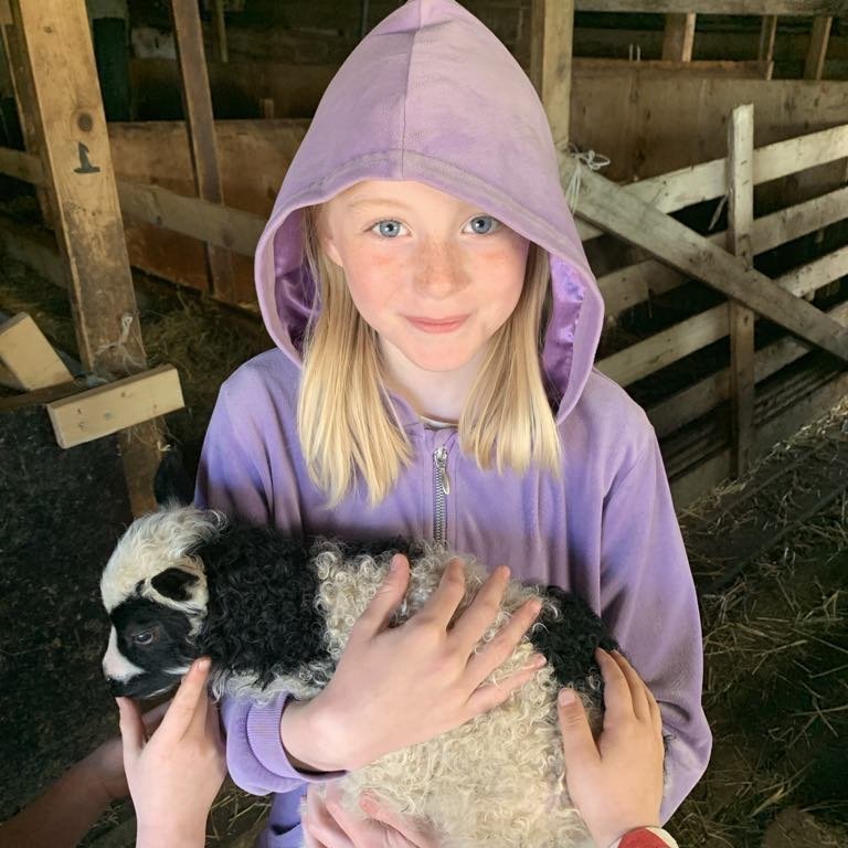 bda5a3c3-090a-4c17-aef6-8eb2245293d6