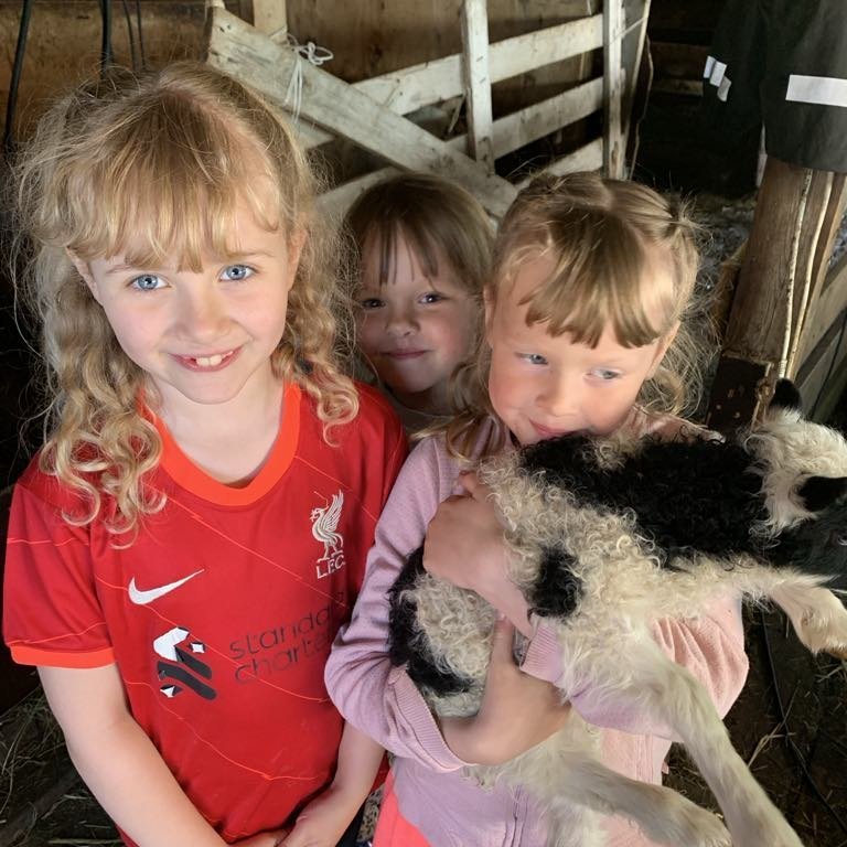 bee5df5b-e5a0-47e2-81ee-5639cfebd06a