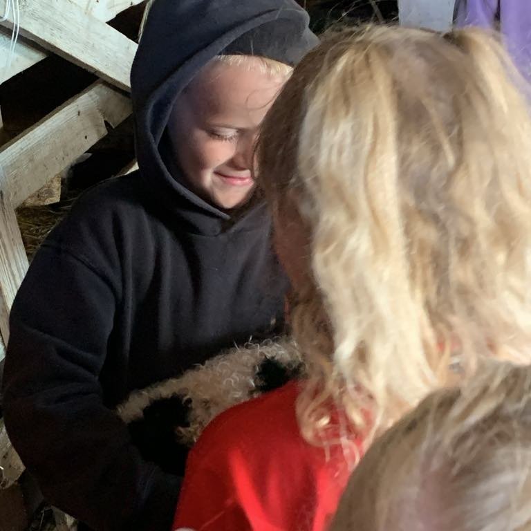 ca464d01-ac7d-43e6-81c6-0a06a2ae4d39