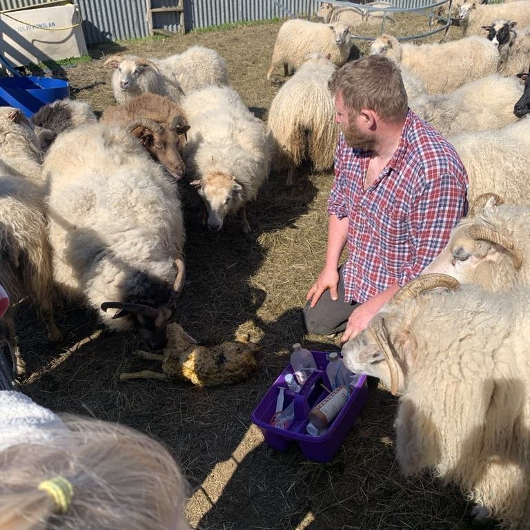 d4447acb-5442-4bca-9204-530ecd2a1846