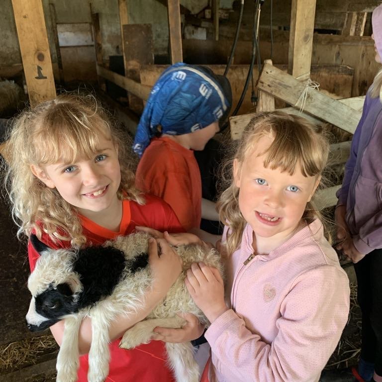 db7741c1-03bc-4482-a86b-780bc17fac43